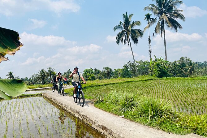 Ubud eBikes Tour to Tegallalang Rice Terrace - What the $30.55 price really includes