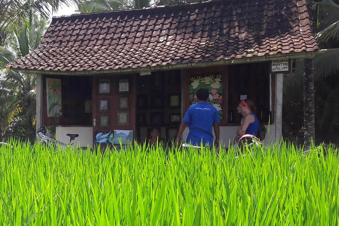 Ubud Eco Culture Cycling Exploration - What the $30.55 Price Really Covers