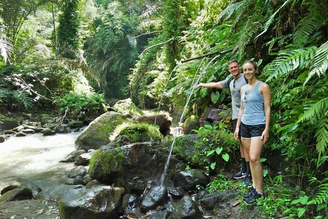 Ubud Eco Culture Cycling Exploration - Sukma Street and the Monkey Forest