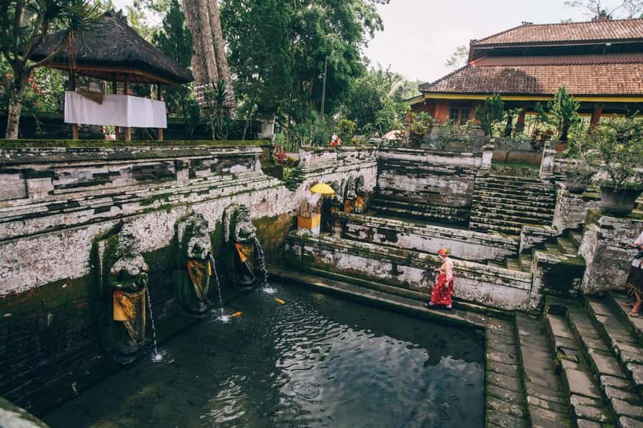 Ubud: Elephant Cave & Pakerisan UNESCO Guided Tour - Why Goa Gajah feels different from a standard temple stop