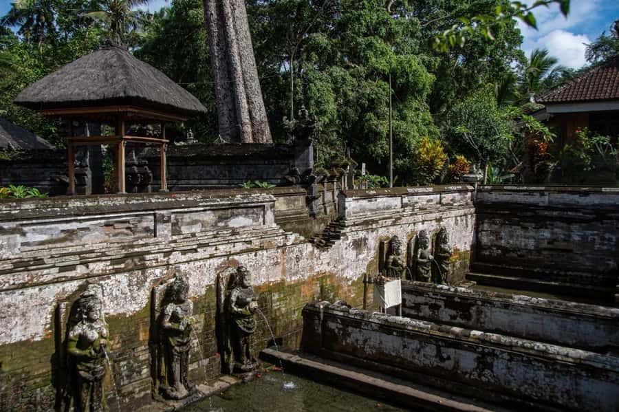 Ubud: Elephant Cave & Pakerisan UNESCO Guided Tour - The sacred bathing pools and garden paths