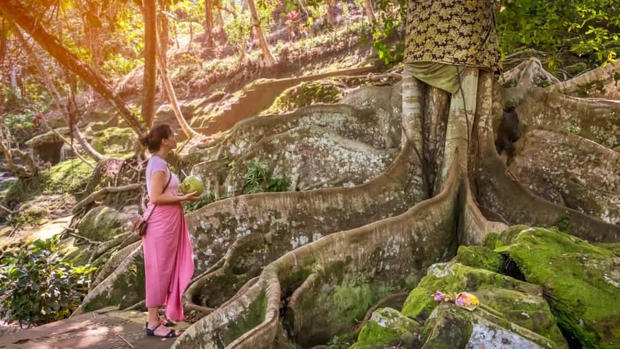 Ubud: Elephant Cave & Pakerisan UNESCO Guided Tour - What the guide adds to the visit