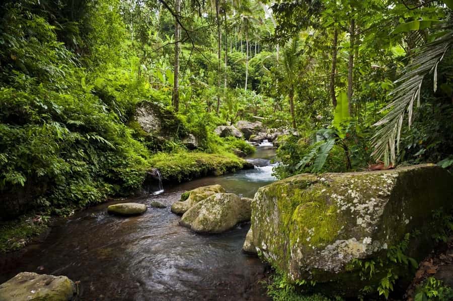 Ubud: Elephant Cave & Pakerisan UNESCO Guided Tour - Choosing your meeting point and transfer option