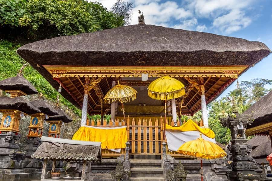 Ubud: Elephant Cave & Pakerisan UNESCO Guided Tour - Who should book this Goa Gajah tour?