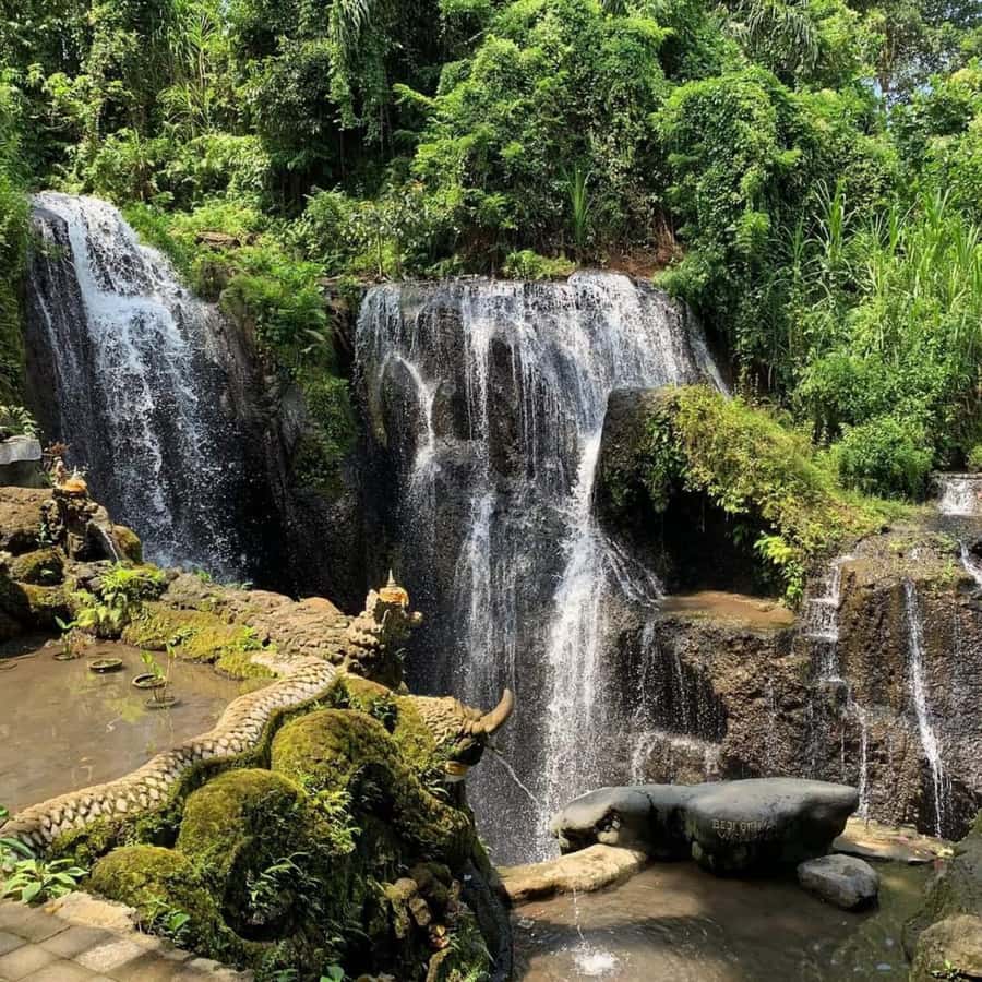 Ubud Experiences : Spiritual Escape Tour and Beji Waterfall - Meeting Mr. Jero for palm reading and spiritual guidance