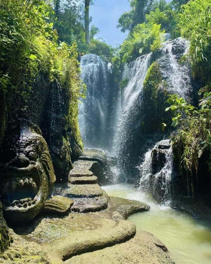 Ubud Experiences : Spiritual Escape Tour and Beji Waterfall - Meditation, shouting, and purification under the waterfall