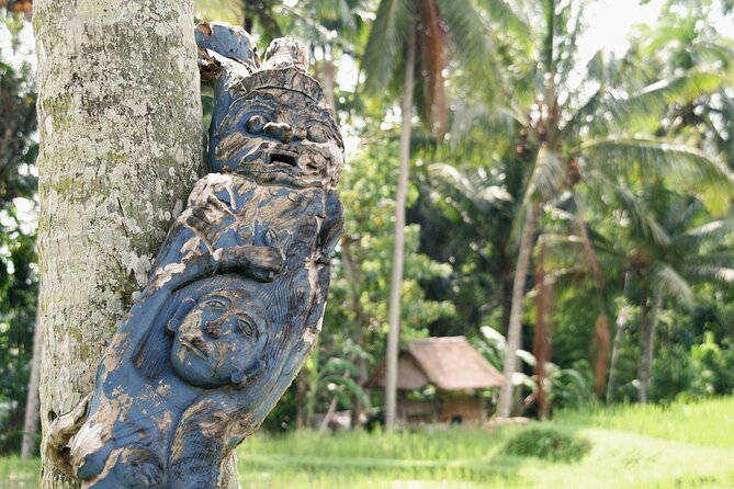 Ubud Explorer Private Day Tour - Seeing Bali’s farming tradition at Tegalalang