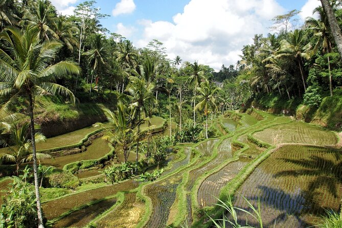 Ubud Explorer Private Day Tour - The value of $52 per person