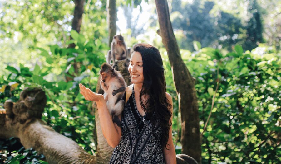Ubud Full Day Private Tour with All Inclusive - Who should book this tour