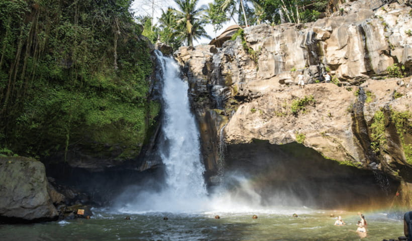 Ubud Full Day Private Tour with All Inclusive - What this private Ubud day is really like