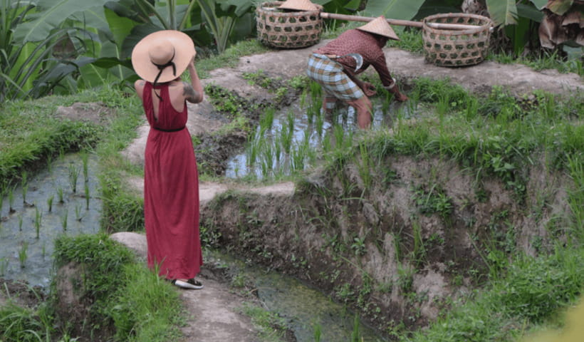 Ubud Full Day Private Tour with All Inclusive - Lunch and the giant swing at D Alas Warung