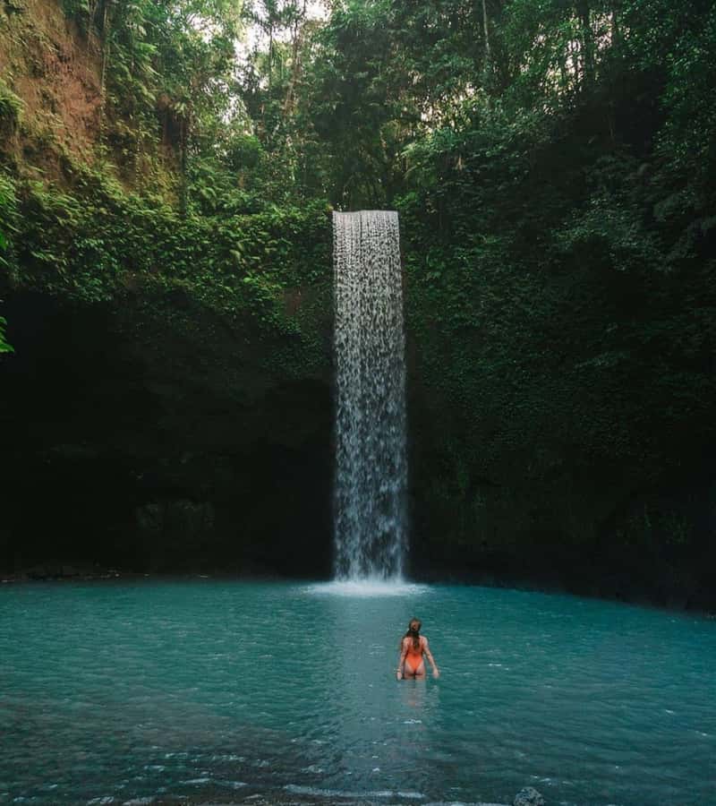 Ubud: Full-Day Rice Terrace, Monkey Forest & Waterfall - Why this $23 Ubud tour offers good value