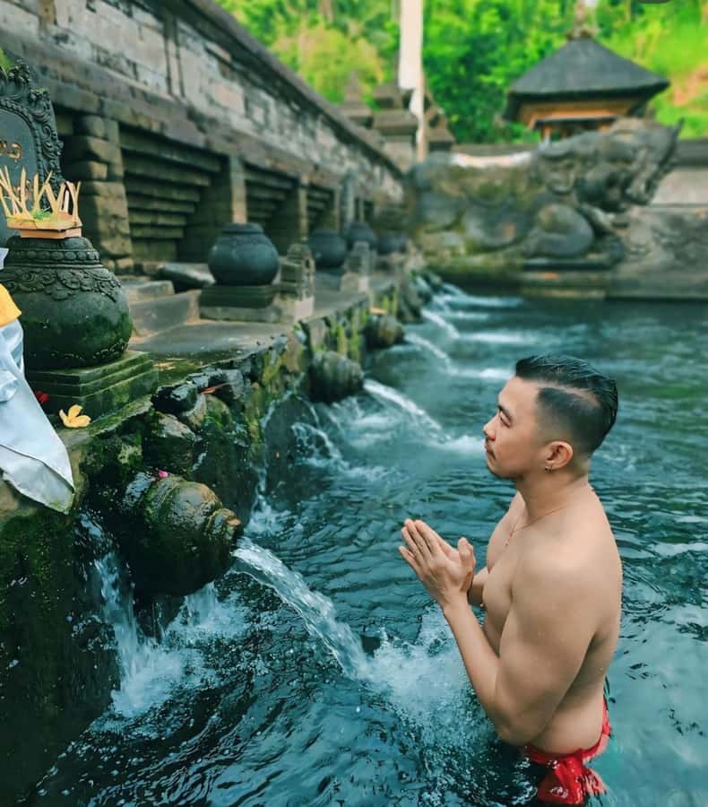 Ubud: Full-Day Rice Terrace, Monkey Forest & Waterfall - What the private driver-guide adds