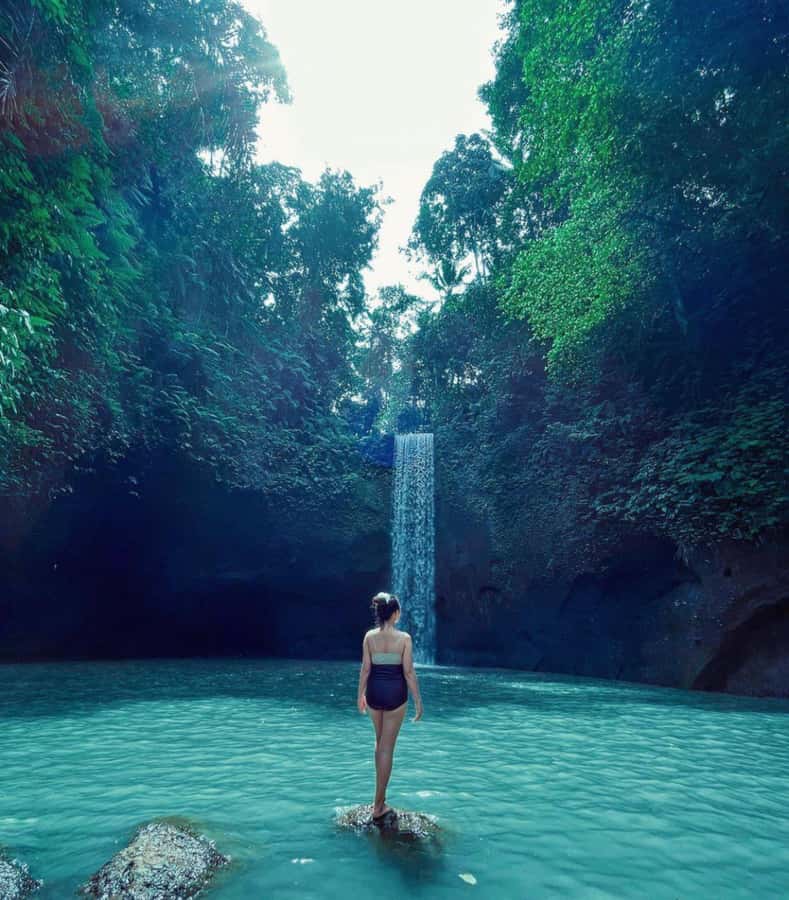 Ubud: Full-Day Rice Terrace, Monkey Forest & Waterfall - Timing, pickup areas, and the long road day
