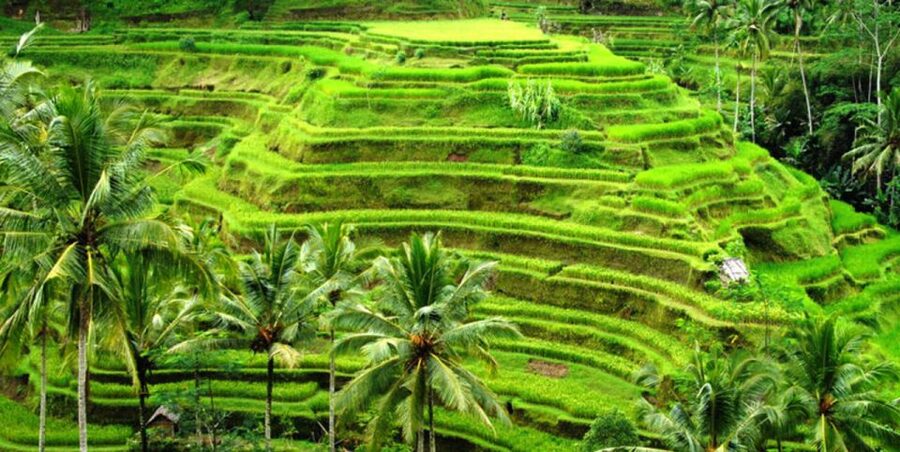 Ubud Full Day Tour with Private Car - Celuk Village adds gold and silver craftsmanship