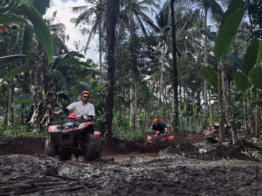 Ubud: Gorilla Face Quad Bike, Jungle Swing, Waterfall & Meal - Is the $46 price good value?