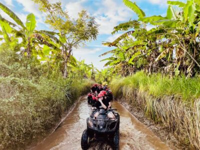 Gorilla Face Quad Bike, Jungle Swing, Waterfall & Meal