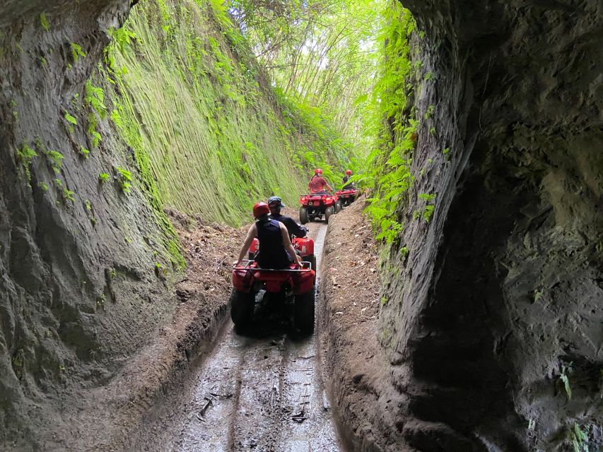 Ubud: Gorilla Face Quad Bike, Jungle Swing, Waterfall & Meal - Transport, timing, and the no-transfer option