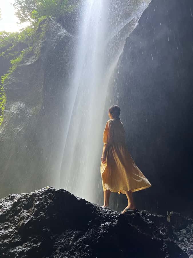 Ubud: Gorilla Face Quad Bike, Jungle Swing, Waterfall & Meal - What the praise tells you about the experience