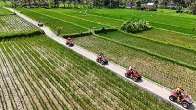 Guided ATV Quad Bike Jungle Adventure with Lunch
