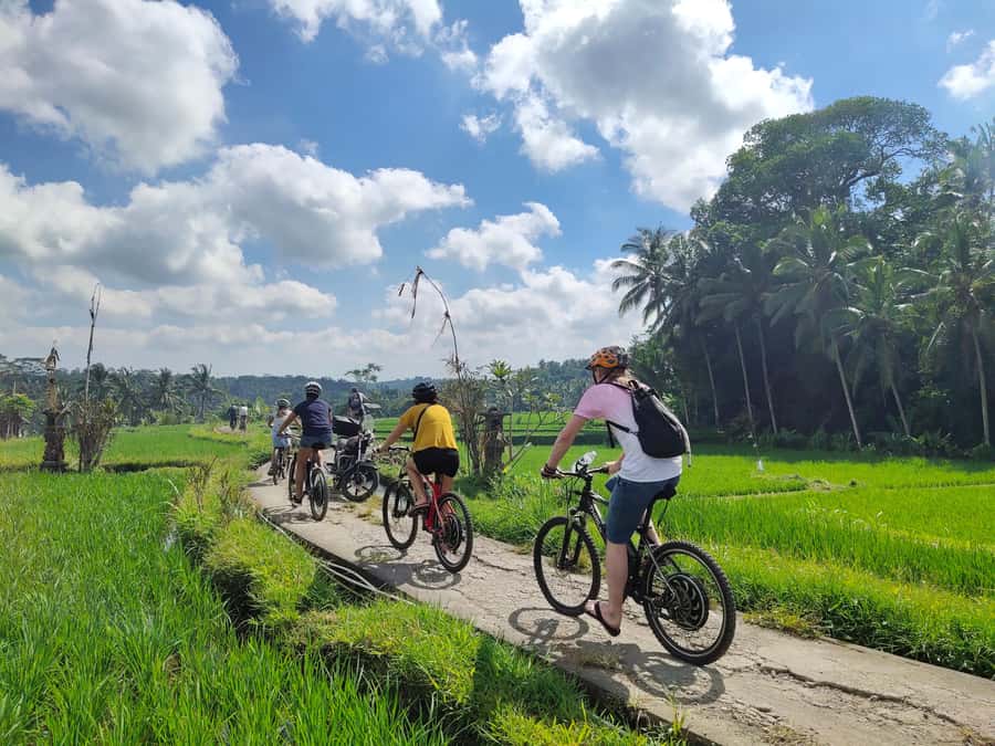 Ubud: Half-Day Tegallalang Electric Cycling Tour - Why an electric bike is a smart way to see Tegallalang