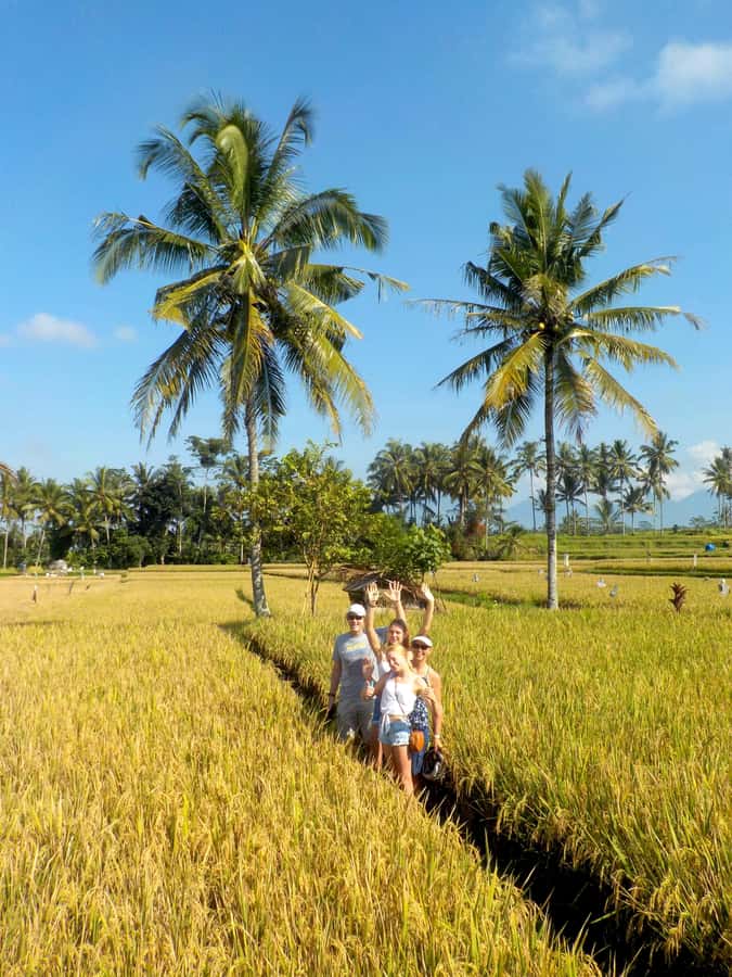Ubud: Half-Day Tegallalang Electric Cycling Tour - The ride itself: enough exercise without the struggle