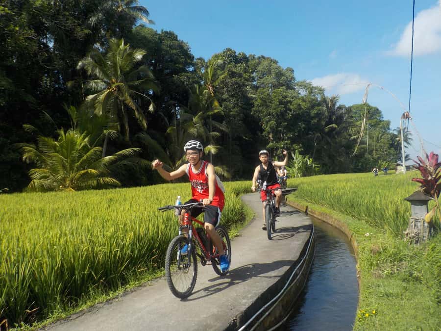 Ubud: Half-Day Tegallalang Electric Cycling Tour - Choosing between coffee and a Balinese family compound