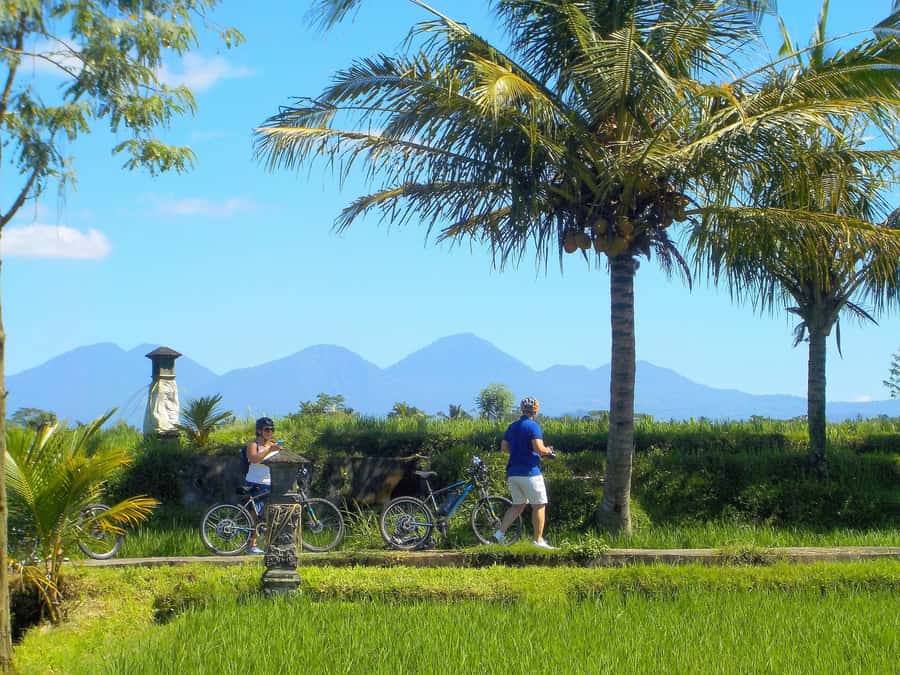 Ubud: Half-Day Tegallalang Electric Cycling Tour - Lunch back in Ubud