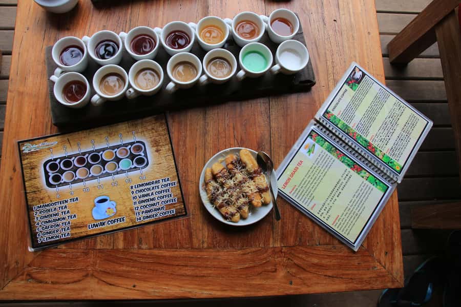 Ubud: Half-Day Tegallalang Electric Cycling Tour - Is the $44 price good value?