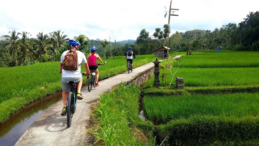 Ubud: Half-Day Tegallalang Electric Cycling Tour - Leaving Ubud for the rice-growing countryside