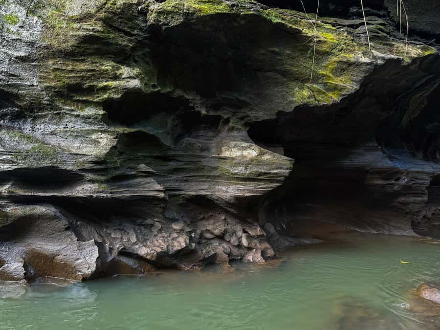 Ubud: Hidden Canyon Beji Guwang Guided Tour - Practical planning before you book