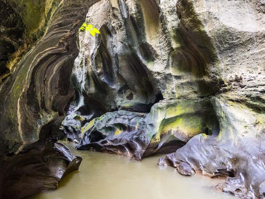 Ubud: Hidden Canyon Beji Guwang Guided Tour - Inside the two-hour canyon route