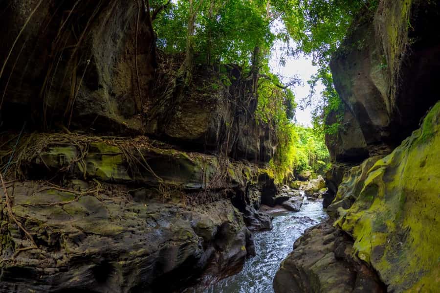 Ubud: Hidden Canyon Beji Guwang Guided Tour - What the canyon sounds and feels like