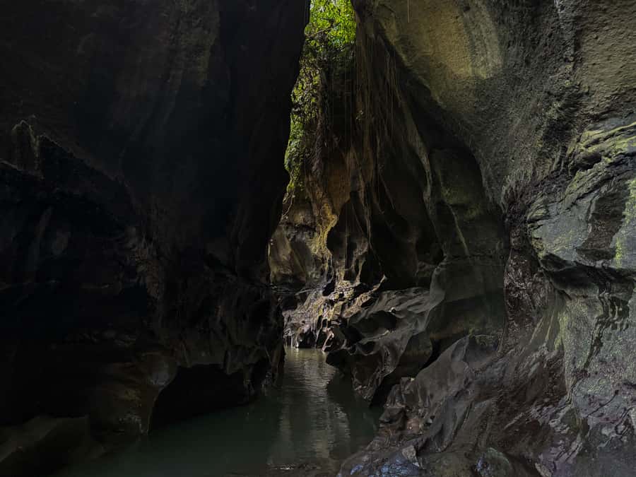 Ubud: Hidden Canyon Beji Guwang Guided Tour - Why the morning departure makes sense