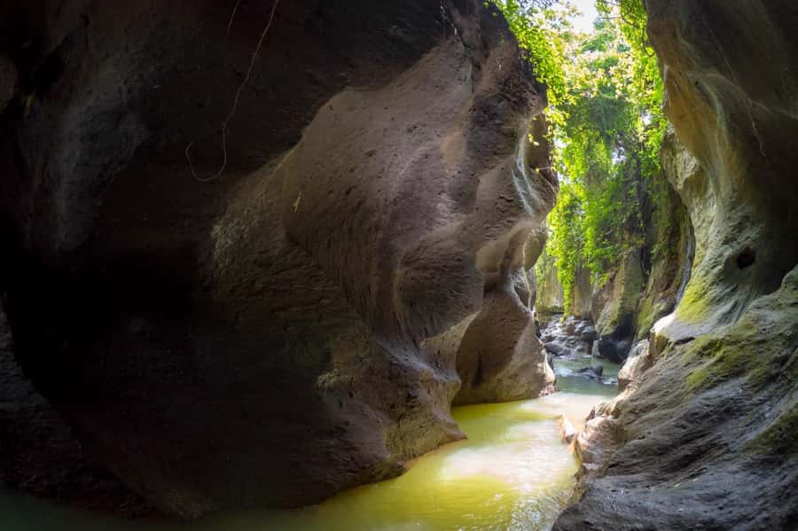 Ubud: Hidden Canyon Beji Guwang Guided Tour - The value of the $40 price