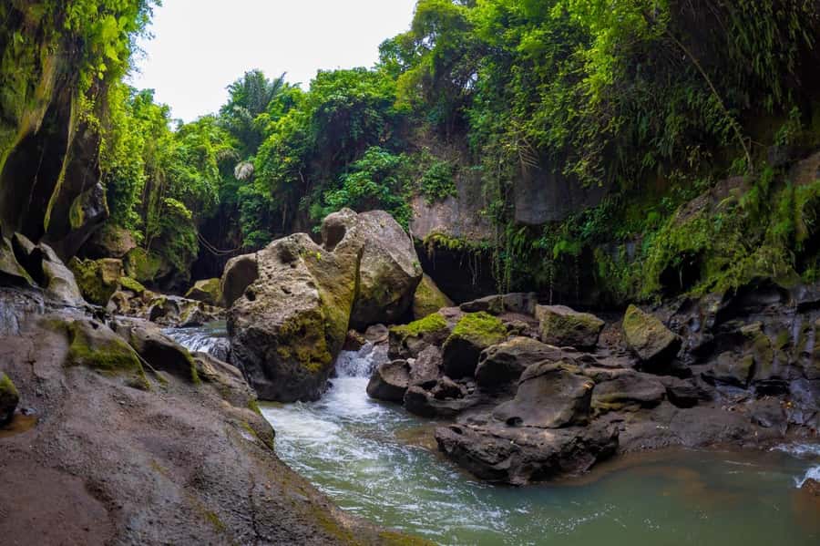 Ubud: Hidden Canyon Beji Guwang Guided Tour - Who should book this activity