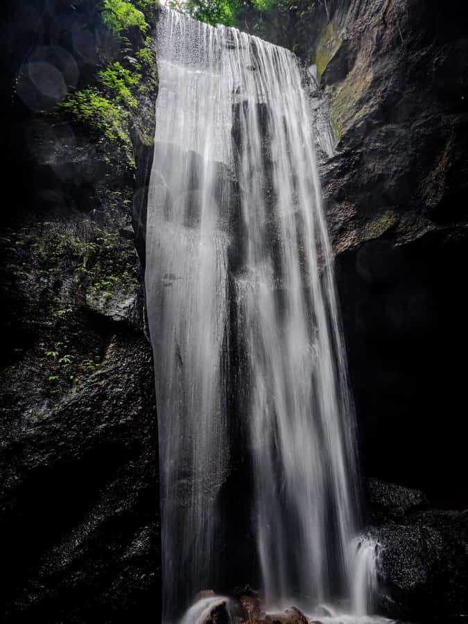 Ubud: Hidden Gems and Waterfalls Private Tour - The plantation adds a taste of daily Bali