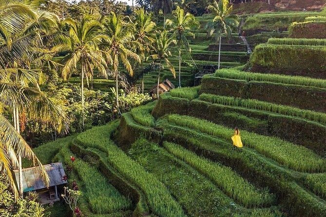 Ubud Hidden Waterfalls and Rice Terrace Tours - Waroeng D’Yoni and a set-menu lunch