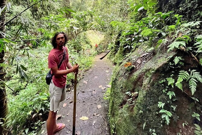 Ubud Highlights Shared Tour – Small Group Full-Day Experience - Four sides of Ubud in eight hours