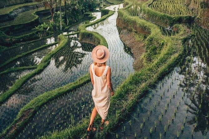 Ubud Highlights Shared Tour – Small Group Full-Day Experience - Tegalalang Rice Terrace: start with Bali’s farming tradition