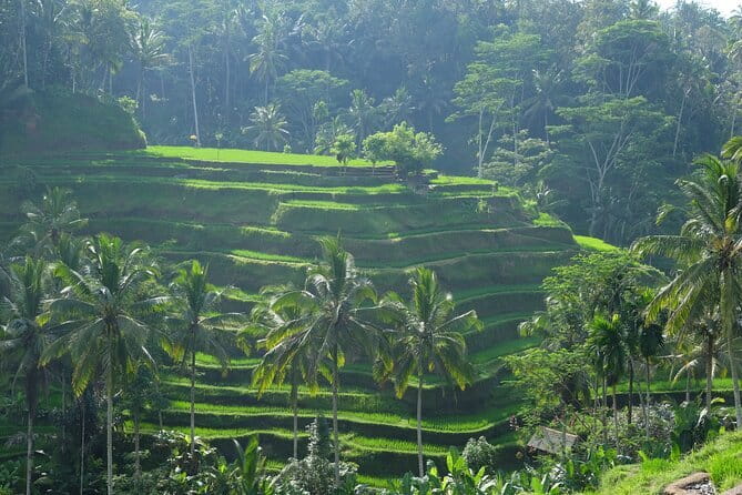 Ubud Highlights Tour ( Private All-Inclusive ) - Seeing a Balinese house compound in Batuan