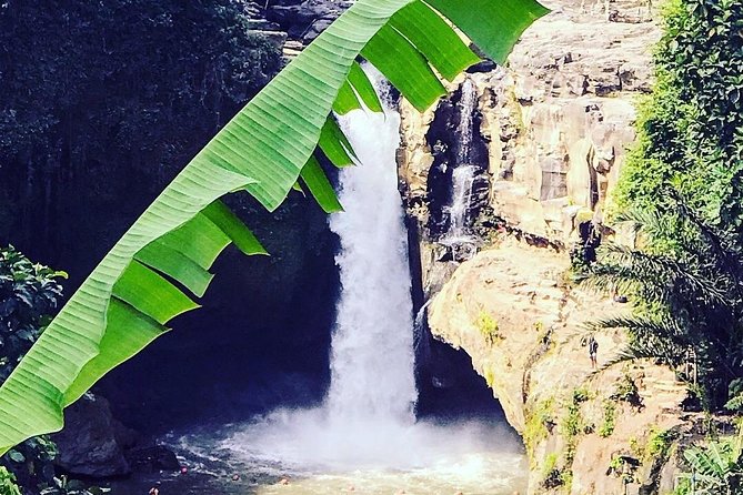 Ubud iconic waterfall and temple tours - Elephant Cave: a short visit with historical weight
