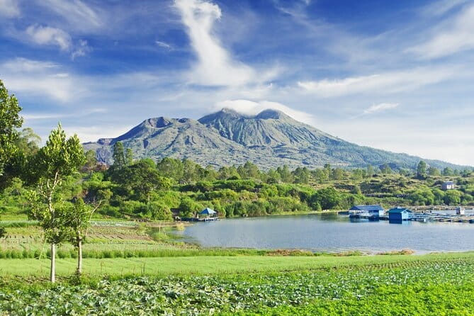 Ubud Jungle Cart Adventure + Volcano view Tour. - Mount Batur: a volcano view without the early hike