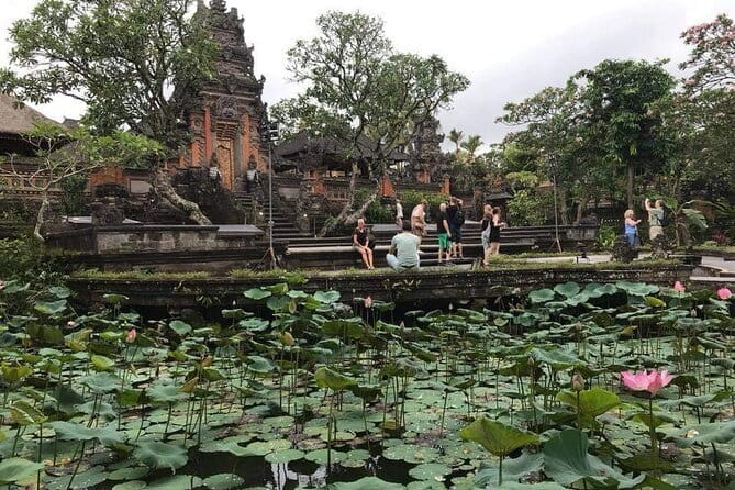 Ubud Jungle Cart Adventure + Volcano view Tour. - Tegalalang Rice Terrace: one hour for views and a short walk