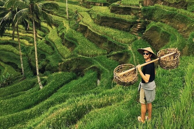Ubud Jungle Swing - Monkey Forest - Water Temple - Waterfall - Key points to know before booking