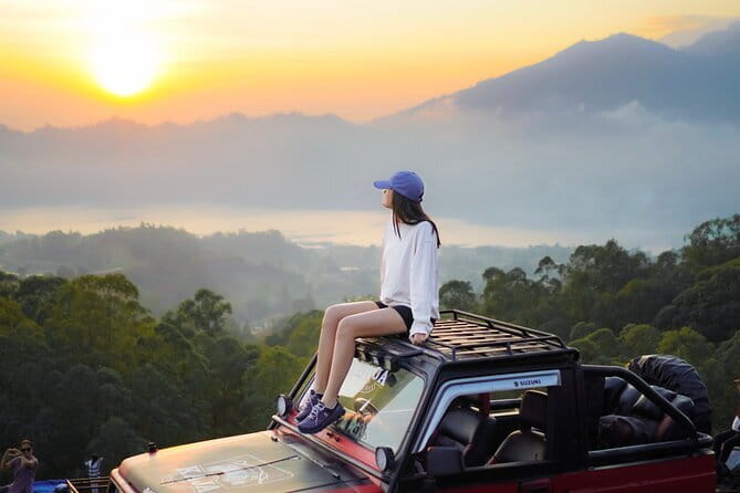 Ubud Jungle Swing - Monkey Forest - Water Temple - Waterfall - Is $45 a good value?