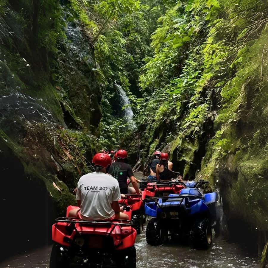 Ubud: Jungle, Waterfall, and Tunnel ATV Tour & Lunch Options - What this Ubud ATV route is really like