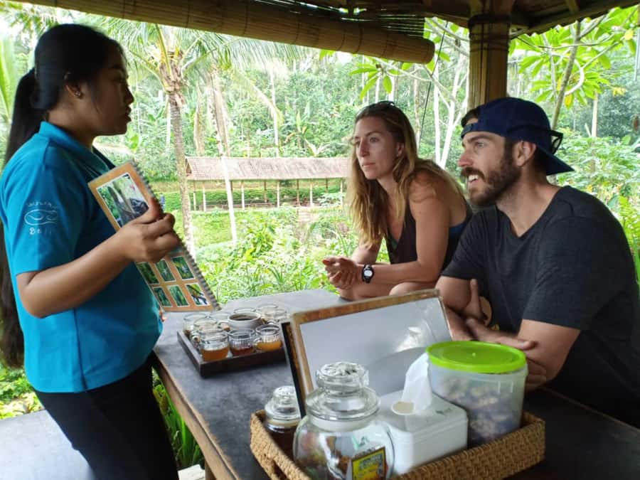 Ubud: Kanto Lampo Waterfalls, Jungle Swing, Rice Terrace - Should you book the waterfalls and Bali Swing day?