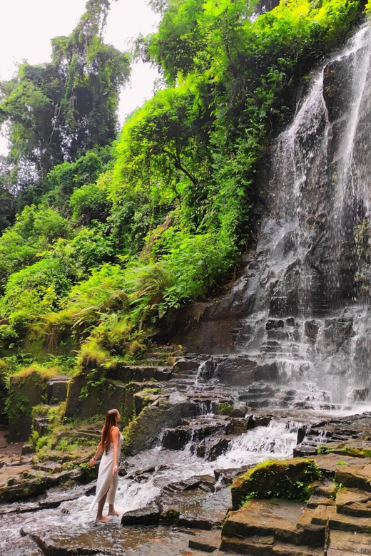 Ubud: Kanto Lampo Waterfalls, Jungle Swing, Rice Terrace - The Bali Swing and Tegalalang rice terraces