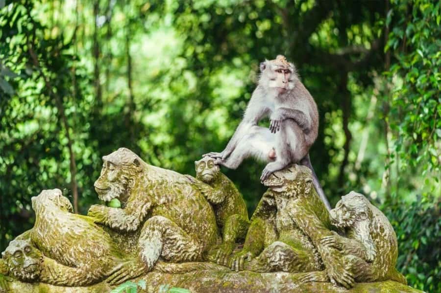 Ubud: Kecak Fire Dance with Transfer & Optional Day Tour - Timing, transport, and group size